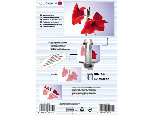 KORES Fusselrolle mit Griff